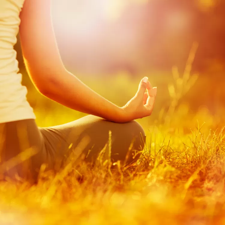 Yoga at Shillingridge Thumbnail