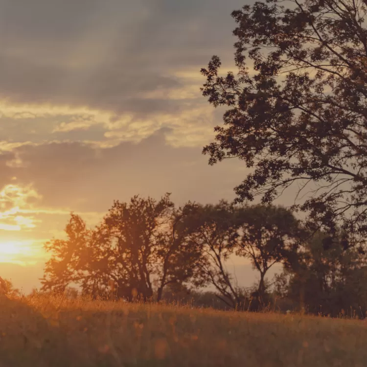 Tranquil Sunset.jpg Thumbnail