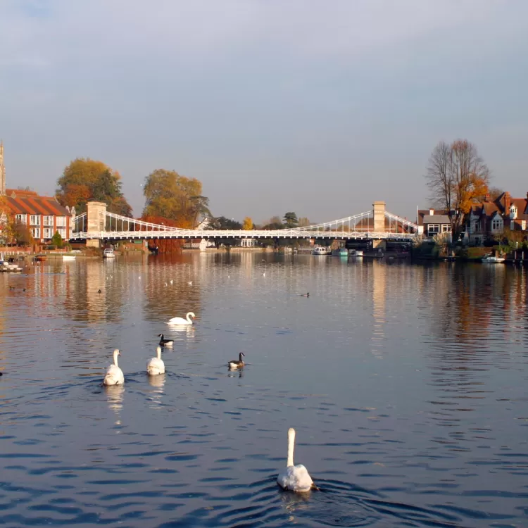 Marlow Thumbnail