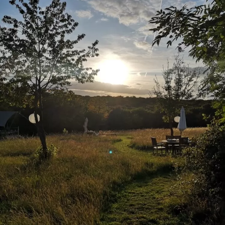 Beautiful View from Glamping Lodge at Shillingridge in Marlow