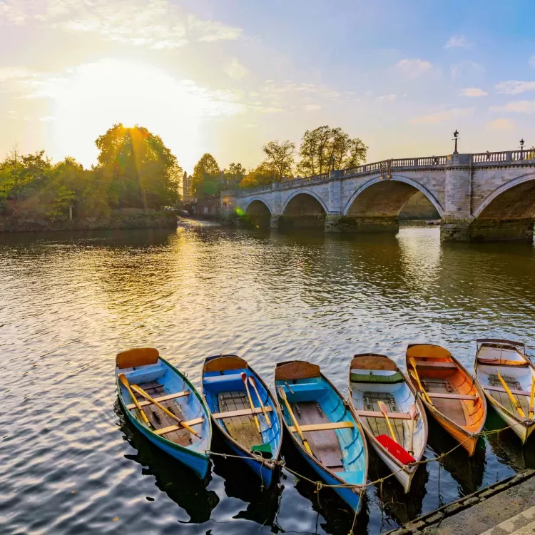 Rowing boats on the River Thames