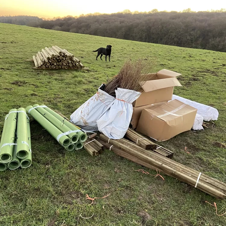 Planting new hedgerow at Shillingridge Glamping in Marlow