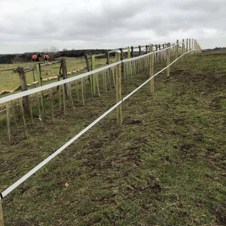 Planting new hedgerow at Shillingridge Glamping in Marlow