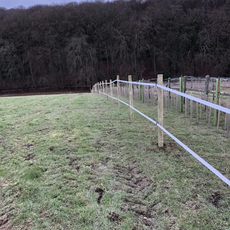 Planting new hedgerow at Shillingridge Glamping in Marlow
