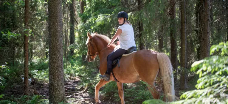 Horse Ridding whilst on holiday in Marlow